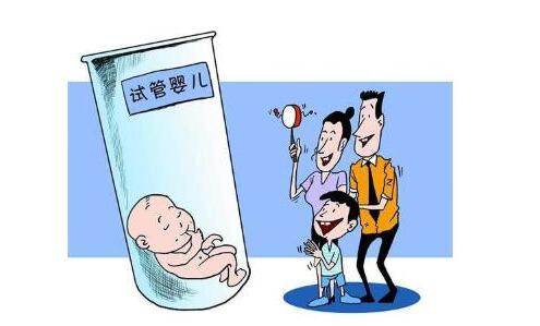 代生供卵公司